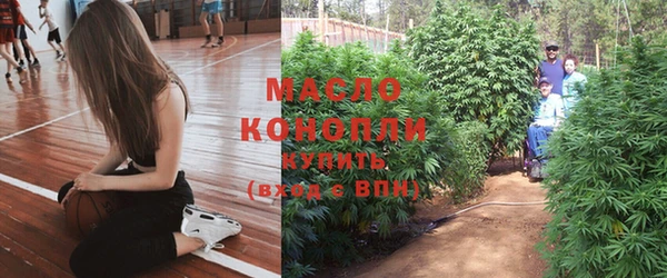 индика Яровое