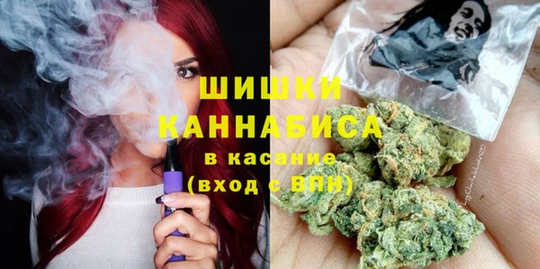 индика Яровое