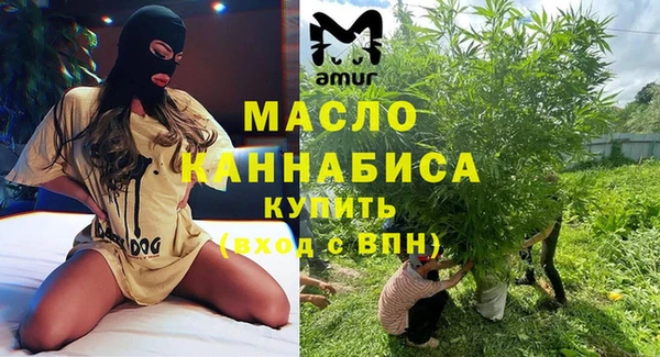 дмт Янаул