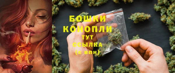 дмт Янаул