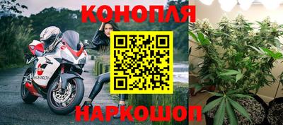 гидропоника Балахна