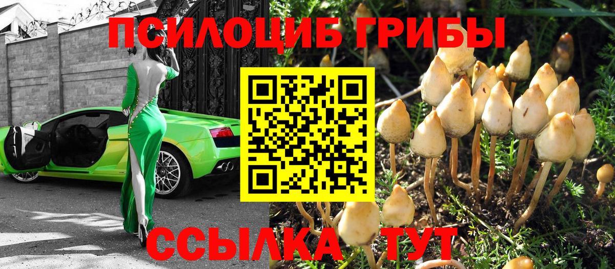 закладка  Вход с VPN  Белогорск  Псилоцибиновые грибы мицелий 