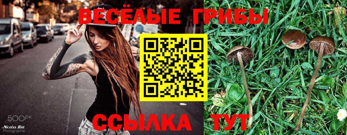 Галлюциногенные грибы GOLDEN TEACHER Белогорск